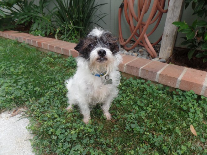 SAMSUNG CAMERA PICTURES